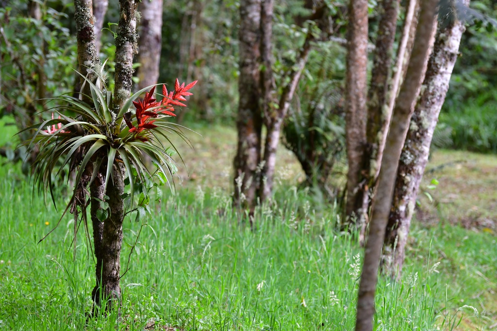 2020-01 Colombia/Guatavita/DSC_3207.JPG
